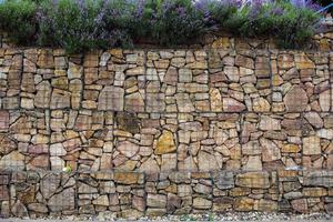 parete del gabbione con decorazione di plands all'aperto foto