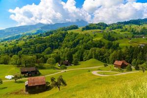 casette in legno su campi verdi, afferra, werdenberg, st. ga foto