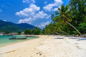 palme da cocco e barche a coda lunga, spiaggia di malibu, isola di koh phangan foto