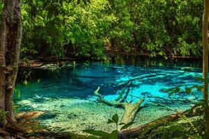 piscina color smeraldo, parco nazionale yosemite, krabi, thailandia foto