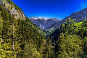 montagne delle alpi ricoperte di pineta, leukerbad, leuk, visp, foto