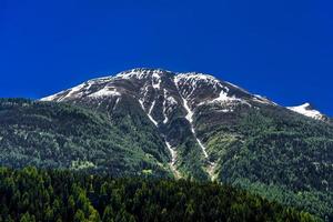 montagne delle alpi ricoperte di foresta, fiesch, goms, wallis, foto