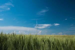 mulini a vento per la produzione di energia elettrica nei campi di grano contro il cielo blu foto