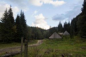 paesaggio con montagne e foreste autunnali foto