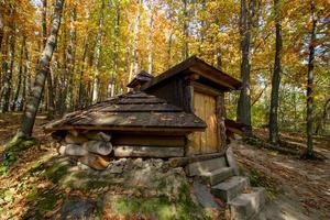 vecchia casa di legno nella bellissima foresta autunnale foto