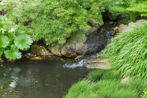 dettagli tradizionali del giardino giapponese foto