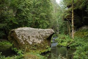 paesaggio in montagna nel parco nazionale della svizzera ceca, pineta e rocce foto