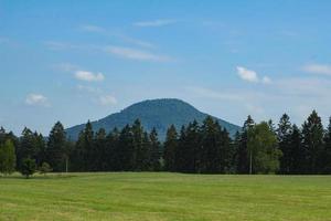 paesaggio in montagna nel parco nazionale della svizzera ceca, pineta e rocce foto