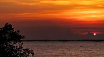 albero silhouette su sfondo sfocato del cielo al tramonto rosso e arancione sul mare tropicale. cielo rosso al tramonto. orizzonte al mare. mare tropicale in estate. vista panoramica del cielo al tramonto. oceano calmo. paesaggio marino. foto