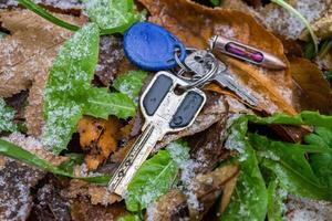 le chiavi perse giacciono nell'erba autunnale ricoperta da un sottile strato di neve bagnata foto