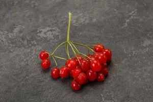 bacche rosse di viburno saporite e succose foto