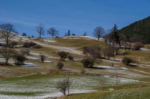 verde paesaggio collinare e alberi foto