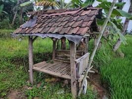 un piccolo edificio nel riso, un luogo di riposo dei contadini in Indonesia foto