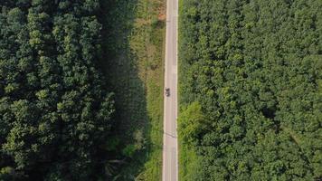 veduta aerea di una strada che si snoda attraverso una fitta foresta verde foto