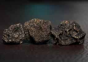 nero selvaggio tartufo estivo funghi primo piano famiglia tuberaceae botanico moderno di alta qualità di grandi dimensioni sfondo stampe decorazioni per la casa foto