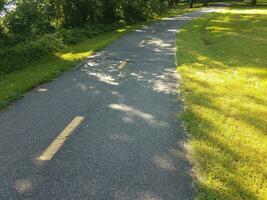 sentiero in asfalto ed erba verde foto
