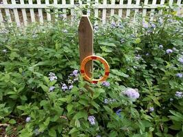 la lettera o su un palo di legno in un giardino foto