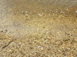 acqua e sassi o ciottoli e conchiglie in spiaggia foto