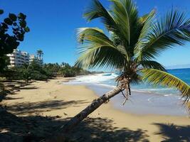 sabbia e acqua dell'oceano sulla spiaggia di isabela, porto rico foto