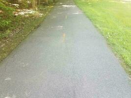 pista ciclabile in asfalto con erba verde foto