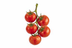 pomodoro rosso vegetale, isolato su sfondo bianco foto