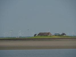 Hallig hooge nel mare del nord tedesco foto