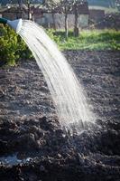 irrigazione primaverile di semi in giardino foto