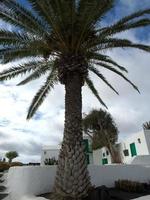 isola di lanzarote in spagna foto