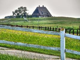 Hallig hooge nel mare del nord tedesco foto