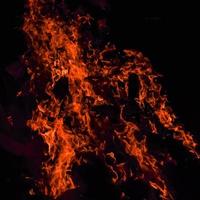 fiamme di fuoco su sfondo nero, fiamma di fuoco fiamma sfondo trama, magnificamente, il fuoco sta bruciando, fiamme di fuoco con legno e falò di sterco di vacca foto