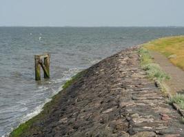 Hallig hooge nel mare del nord tedesco foto