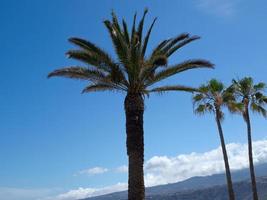 isola di tenerife in spagna foto