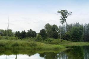 il paesaggio di un fiume con una riva è coperto di erba verde lussureggiante. riflesso della foresta sulla superficie dell'acqua. decorato con alberi ad alto fusto nella parte posteriore sotto il cielo blu e nuvole bianche come sfondo. foto