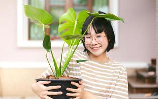 ritratto di giovane donna asiatica adulta che tiene albero di monstera. foto