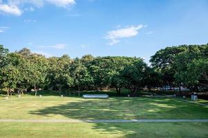 parco pubblico, parco alberato e cielo azzurro foto