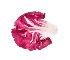 foglia di radicchio, insalata rossa isolata su bianco foto