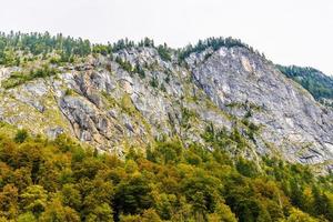 Alpi ricoperte di foresta, Koenigssee, Konigsee, Parco Nazionale di Berchtesgaden, Baviera, Germania foto