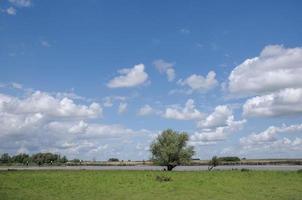 il fiume ems vicino a weener in germania foto