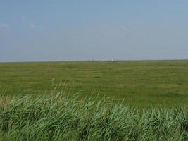 Hallig hooge nel mare del nord tedesco foto