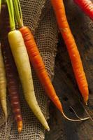 carote crude colorate multi colorate foto