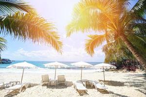 vacanza tropicale foglia di cocco palma sulla spiaggia con la luce del sole sul cielo blu mare e oceano sfondo - vacanze estive natura viaggio bellissimo paesaggio estivo con sedia ombrellone sulla sabbia foto