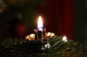 candela di cera festiva sul ramo verde dell'albero di natale. foto