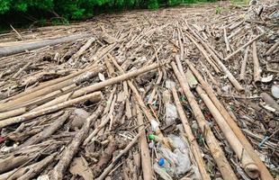 bambù secco e sacchetto di plastica sulla foresta di mangrovie. problema dei rifiuti in mare. causa del riscaldamento globale e dell'effetto serra. problema dei rifiuti domestici all'ambiente. problemi ambientali dai rifiuti di plastica. foto