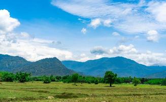 risaia in estate. paesaggio di campo verde, montagna con cielo azzurro e nuvole bianche. paesaggio naturale in Thailandia. le risaie estive dopo il raccolto vengono utilizzate come pascoli. allevamento di mucche ruspanti.