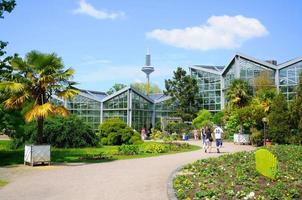 natura di Palmen garten, Francoforte sul Meno, Assia, Germania foto