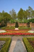 giardino con piccoli cespugli, tulipani bianchi, arancioni e rossi nel parco keukenhof in Olanda foto