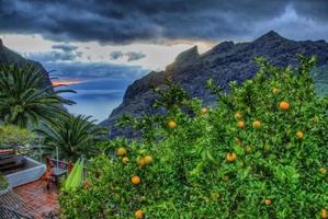 arancio nel villaggio di masca con montagne, tenerife, isole canarie foto