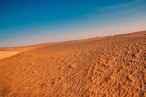 paesaggio desertico tunisino con cielo blu. sfondo di dune. foto