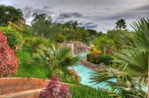 fiume nel parco con palme, tenerife, isole canarie foto