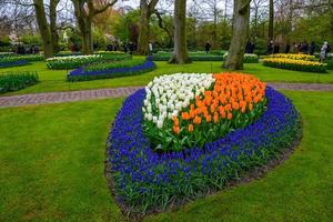 tuilps e altri fiori nel parco keukenhof, lisse, olanda, paesi bassi. foto